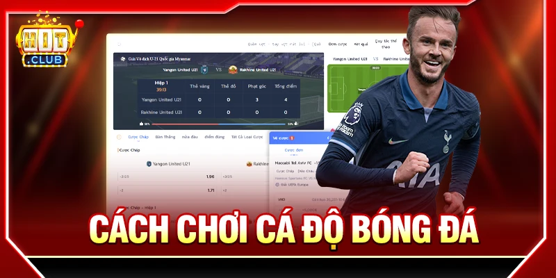 Cách Chơi Cá Độ Bóng Đá Cho Tân Thủ Hướng Dẫn Chi Tiết cách chơi cá độ bóng đá